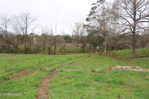 Tiny photo for 1062 Campground Rd, Madisonville, TN 37354 (MLS # 1332396)