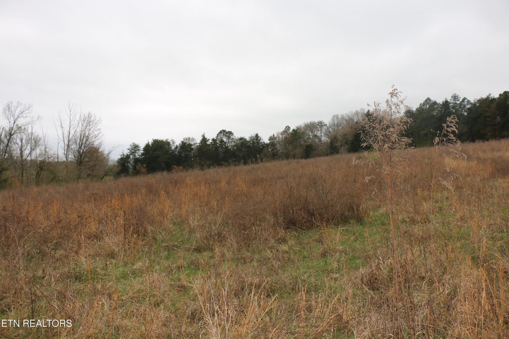 Photo of 1062 Campground Rd, Madisonville, TN 37354 (MLS # 1332396)