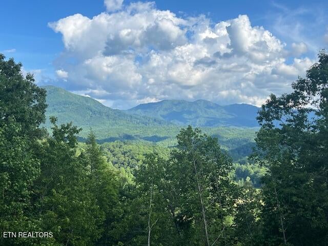 Photo of 3912 Patriot Lane, Sevierville, TN 37862 (MLS # 1354325)