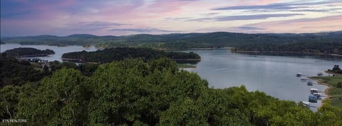 Tiny photo for 170 Magnolia Lane, Sharps Chapel, TN 37866 (MLS # 1358391)