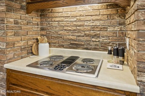 Tiny photo for 1050 Lawnville Rd, Kingston, TN 37763 (MLS # 1335479)