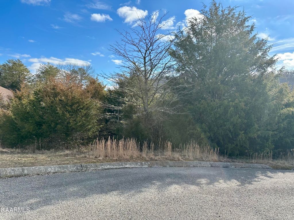 Photo of 117 WILDWOOD Way, Tazewell, TN 37879 (MLS # 1217715)