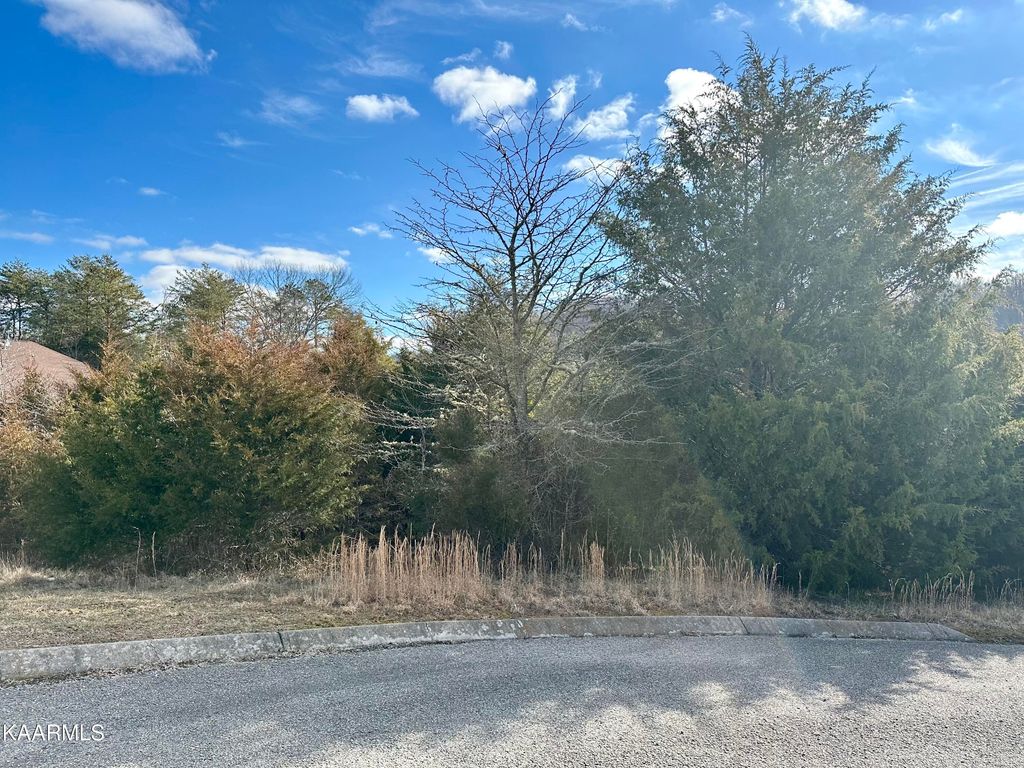 Photo of 117 WILDWOOD Way, Tazewell, TN 37879 (MLS # 1217715)