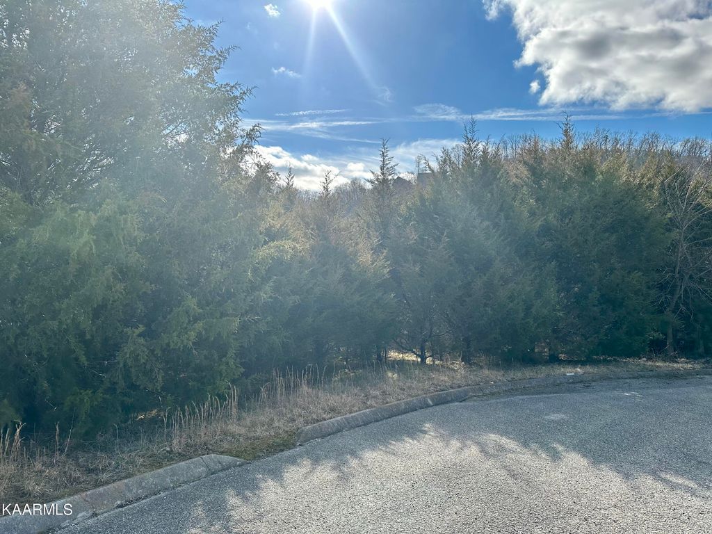 Photo of 117 WILDWOOD Way, Tazewell, TN 37879 (MLS # 1217715)