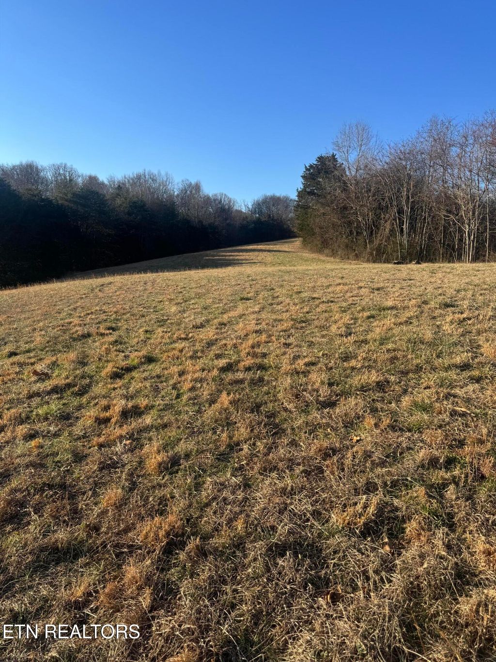 Photo of 2490 Whittle Lot 3 Rd, New Market, TN 37820 (MLS # 1327043)