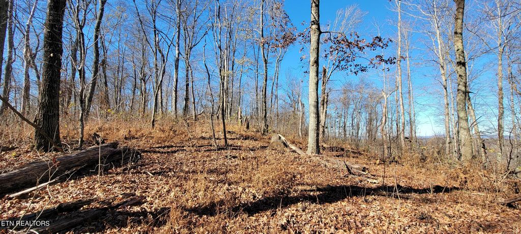 Photo of 3 Lone Mountain Rd, New Tazewell, TN 37825 (MLS # 1245786)