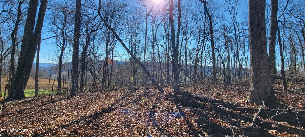 Photo of 3 Lone Mountain Rd, New Tazewell, TN 37825 (MLS # 1245786)