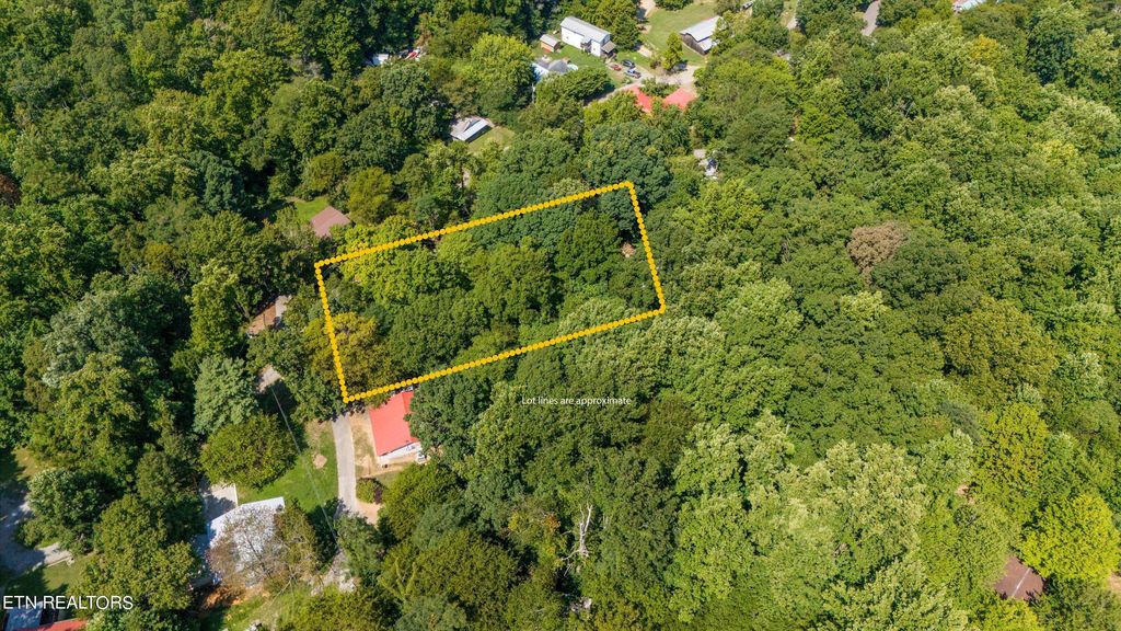 Photo of 4785 Fred Jennings Rd, Walland, TN 37886 (MLS # 1274754)