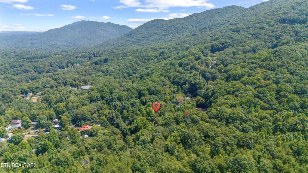 Photo of 4785 Fred Jennings Rd, Walland, TN 37886 (MLS # 1274754)