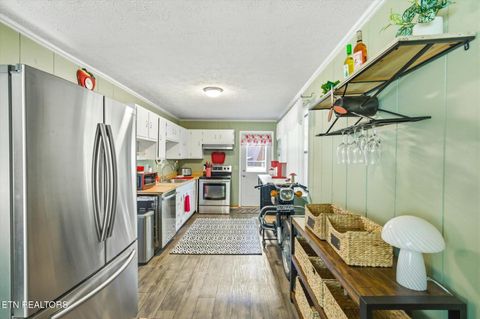 Tiny photo for 915 Leisure Lane, Sevierville, TN 37876 (MLS # 1340403)