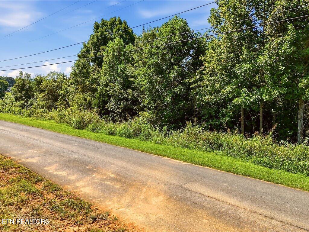Photo of 1 Holston River Drive, Rutledge, TN 37861 (MLS # 1354416)