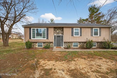 Photo of 3213 Haney Drive, Cookeville, TN 38506 (MLS # 1330524)