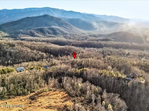Tiny photo for 31 Sonshine Ridge Rd, Cosby, TN 37722 (MLS # 1327399)