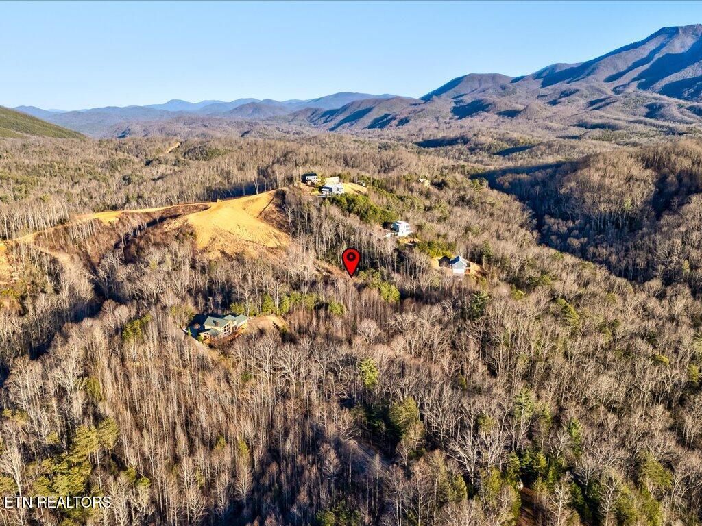 Photo of 31 Sonshine Ridge Rd, Cosby, TN 37722 (MLS # 1327399)