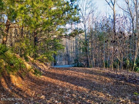 Tiny photo for 31 Sonshine Ridge Rd, Cosby, TN 37722 (MLS # 1327399)