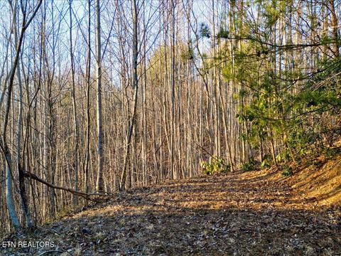 Tiny photo for 31 Sonshine Ridge Rd, Cosby, TN 37722 (MLS # 1327399)