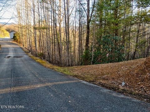 Tiny photo for 31 Sonshine Ridge Rd, Cosby, TN 37722 (MLS # 1327399)