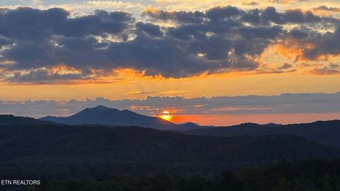 Tiny photo for 31 Sonshine Ridge Rd, Cosby, TN 37722 (MLS # 1327399)