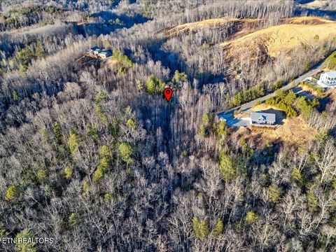 Tiny photo for 31 Sonshine Ridge Rd, Cosby, TN 37722 (MLS # 1327399)