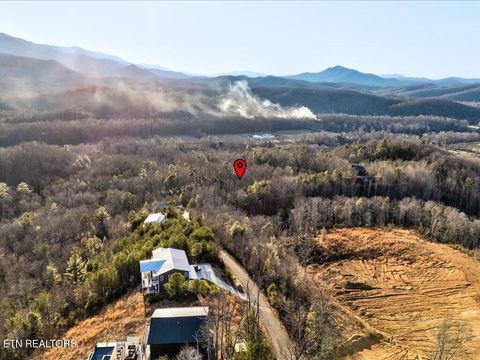 Tiny photo for 31 Sonshine Ridge Rd, Cosby, TN 37722 (MLS # 1327399)