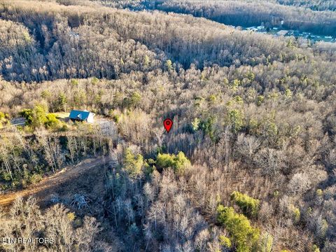 Tiny photo for 31 Sonshine Ridge Rd, Cosby, TN 37722 (MLS # 1327399)