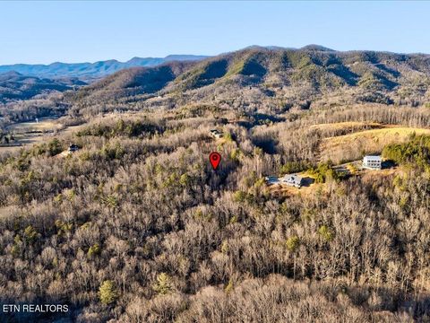 Tiny photo for 31 Sonshine Ridge Rd, Cosby, TN 37722 (MLS # 1327399)