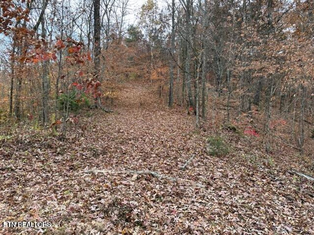 Photo of 441 Trails End Rd, Walland, TN 37886 (MLS # 1326998)