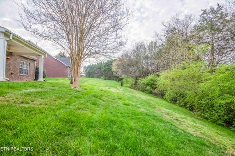 Tiny photo for 110 Waterston Way, Clinton, TN 37716 (MLS # 1334331)