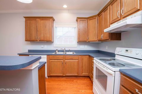 Tiny photo for 110 Waterston Way, Clinton, TN 37716 (MLS # 1334331)