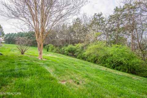 Tiny photo for 110 Waterston Way, Clinton, TN 37716 (MLS # 1334331)