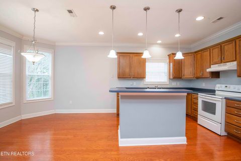 Tiny photo for 110 Waterston Way, Clinton, TN 37716 (MLS # 1334331)