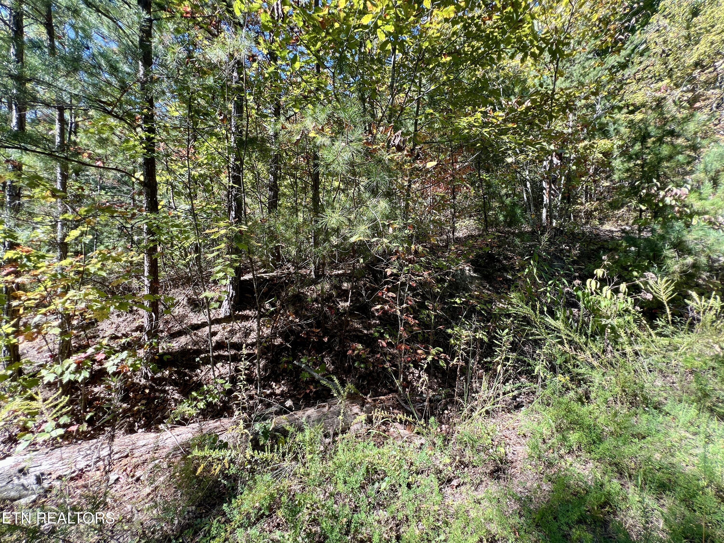 P 20.15 Creek Hollow Way