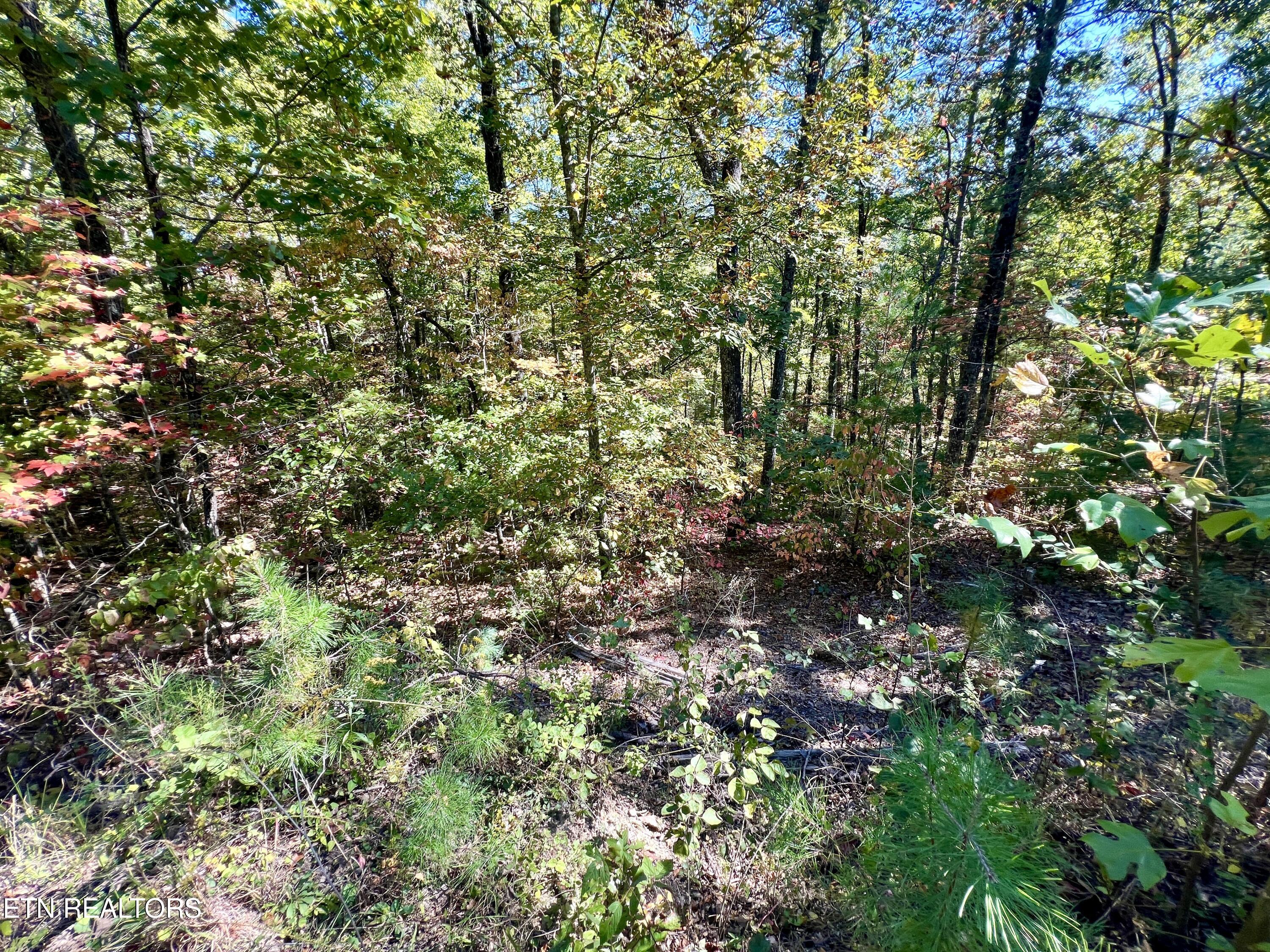 P 20.15 Creek Hollow Way