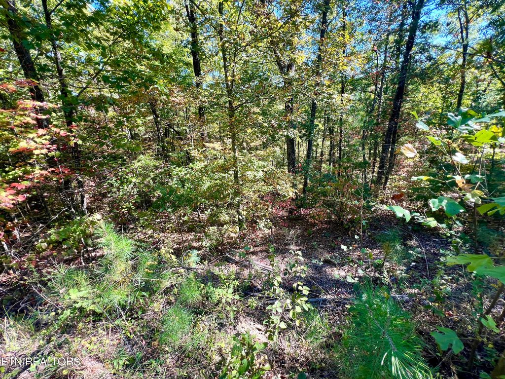 Photo of 20 Creek Hollow Way, Sevierville, TN 37876 (MLS # 1320087)