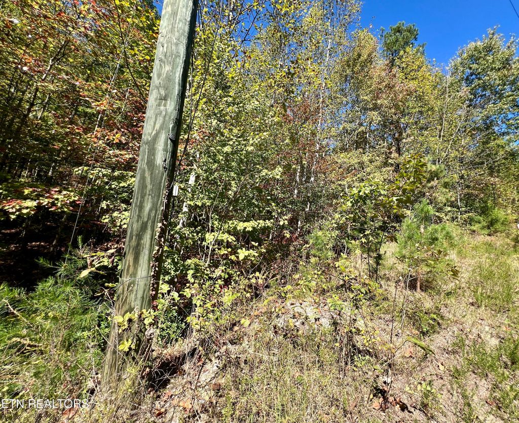 Photo of 20 Creek Hollow Way, Sevierville, TN 37876 (MLS # 1320087)