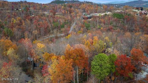 Tiny photo for 887 Holly Branch Rd, Gatlinburg, TN 37738 (MLS # 1343316)