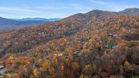 Tiny photo for 887 Holly Branch Rd, Gatlinburg, TN 37738 (MLS # 1343316)