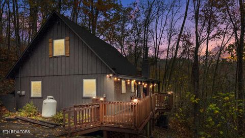 Photo of 887 Holly Branch Rd, Gatlinburg, TN 37738 (MLS # 1343316)