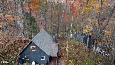 Tiny photo for 887 Holly Branch Rd, Gatlinburg, TN 37738 (MLS # 1343316)
