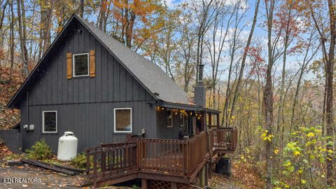 Tiny photo for 887 Holly Branch Rd, Gatlinburg, TN 37738 (MLS # 1343316)
