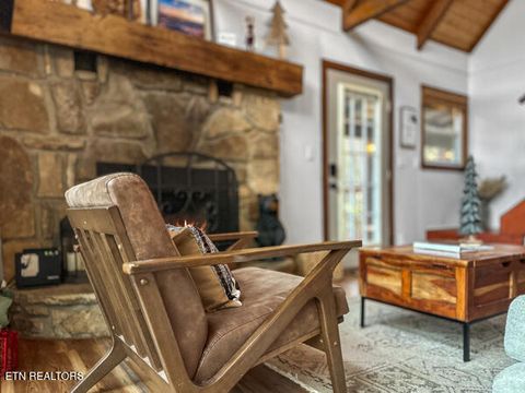 Tiny photo for 887 Holly Branch Rd, Gatlinburg, TN 37738 (MLS # 1343316)