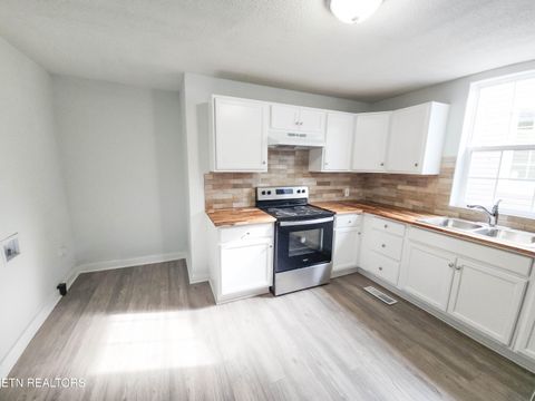 Tiny photo for 1619 Worth St, Knoxville, TN 37917 (MLS # 1328443)