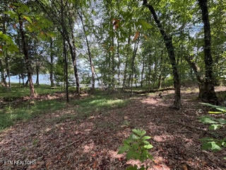 Lot 39 E Shore Drive