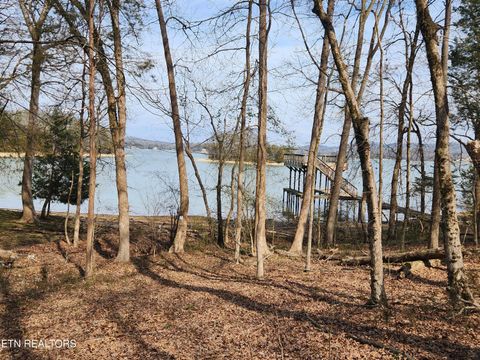 Lot 39 E Shore Drive Rockwood TN 37854