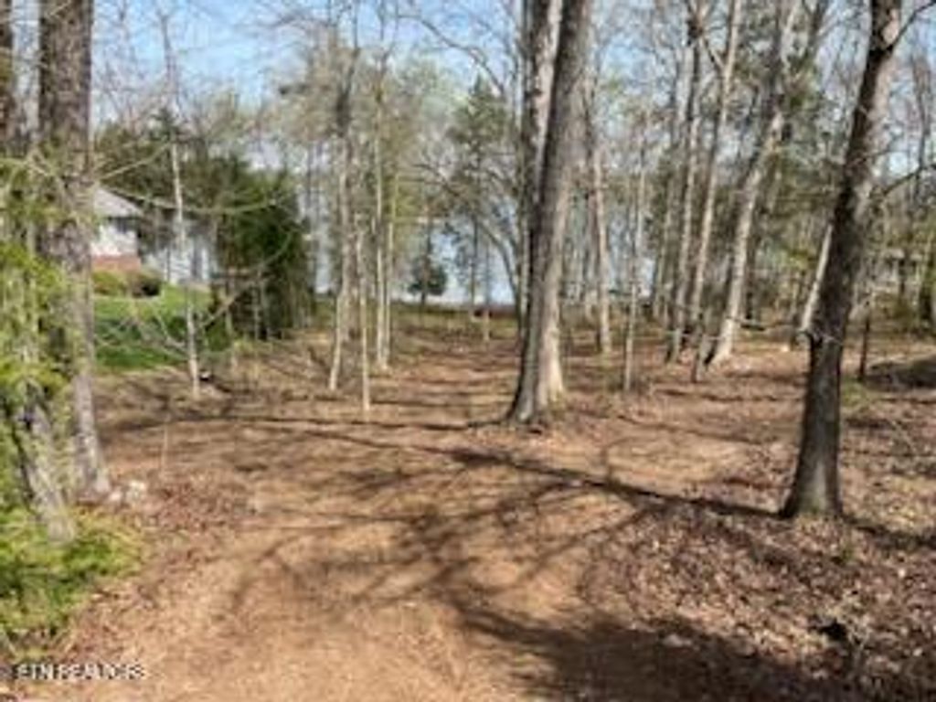 Photo of 39 E Shore Drive, Rockwood, TN 37854 (MLS # 1332920)