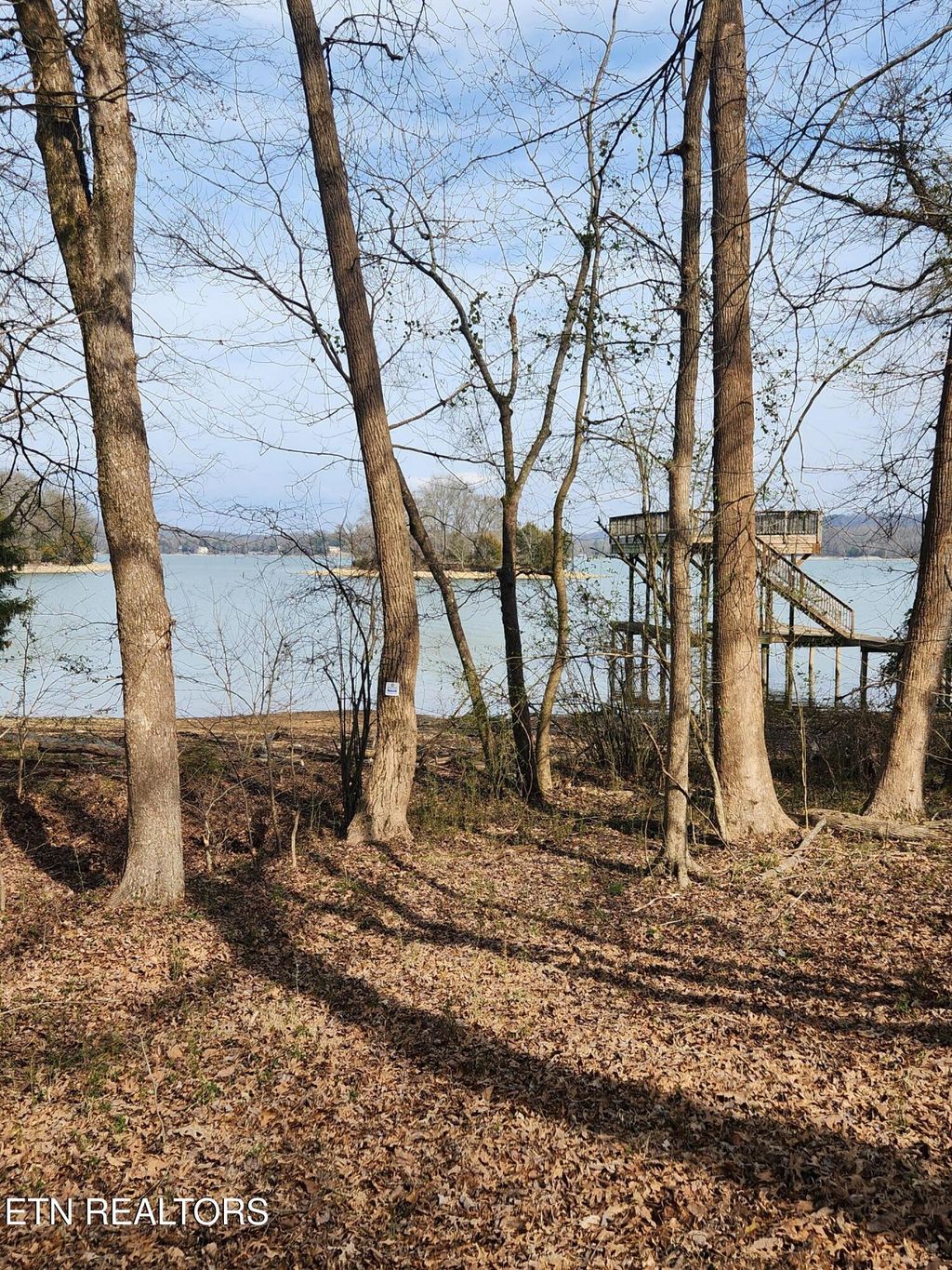 Photo of 39 E Shore Drive, Rockwood, TN 37854 (MLS # 1332920)