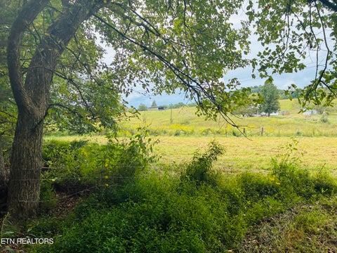 Tiny photo for 00 Cantwell Valley Rd, Sneedville, TN 37869 (MLS # 1356146)