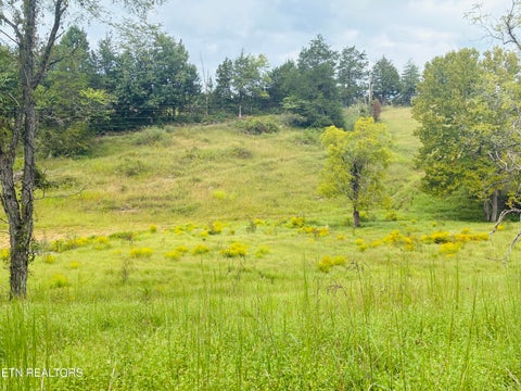 Tiny photo for 00 Cantwell Valley Rd, Sneedville, TN 37869 (MLS # 1356146)