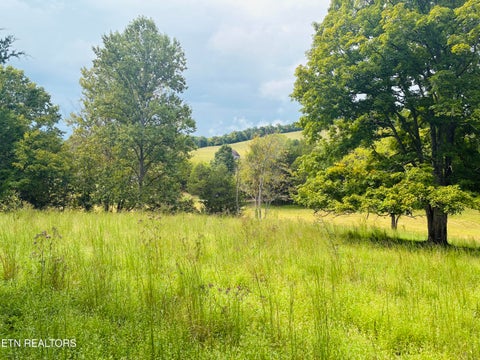 Tiny photo for 00 Cantwell Valley Rd, Sneedville, TN 37869 (MLS # 1356146)