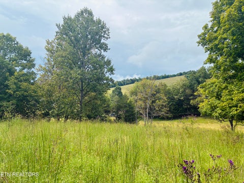 Tiny photo for 00 Cantwell Valley Rd, Sneedville, TN 37869 (MLS # 1356146)